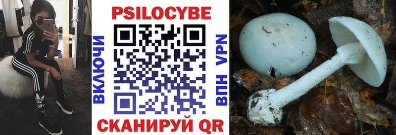 Галлюциногенные грибы мицелий  Кубинка 